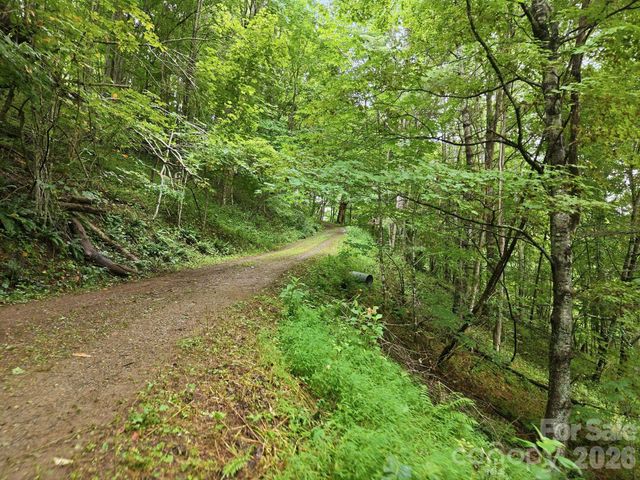 220 Screaming Eagle Drive, Mars Hill, NC 28754