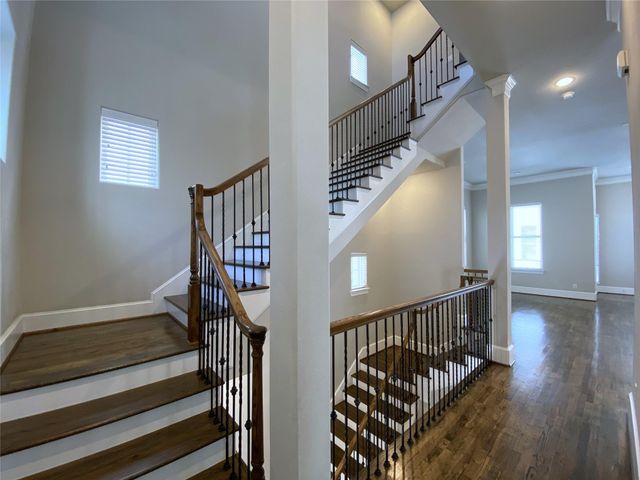 2711 Cohn Arbor Lane, Houston, TX 77007