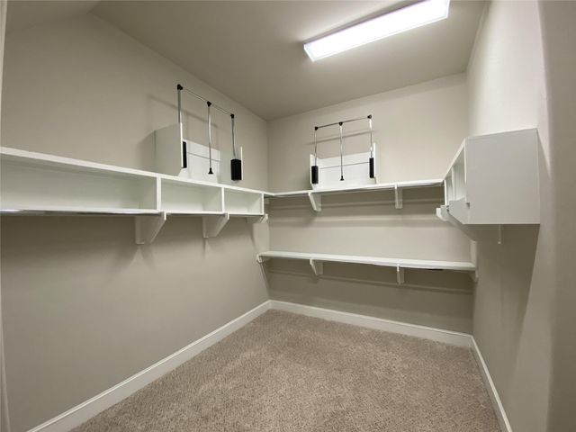2711 Cohn Arbor Lane, Houston, TX 77007