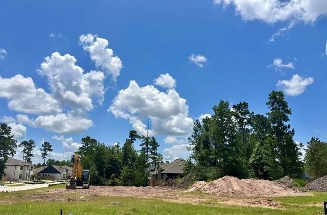 1603 Cleburne Court, Todd Mission, TX 77316