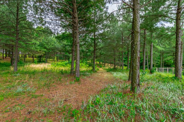 0 Bobcat Trail 213, Jasper, TN 37347