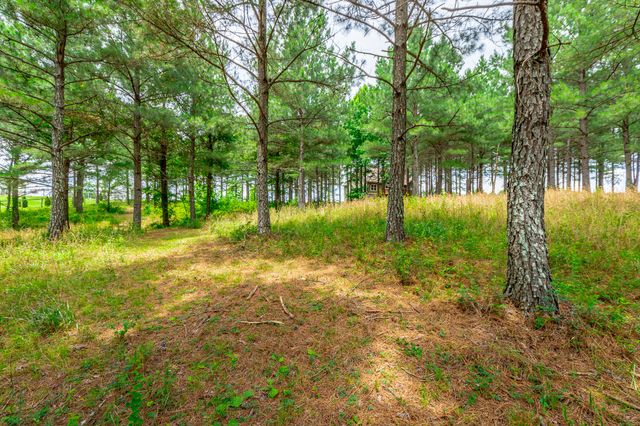 0 Bobcat Trail 213, Jasper, TN 37347