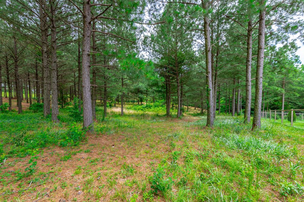 0 Bobcat Trail 213, Jasper, TN 37347