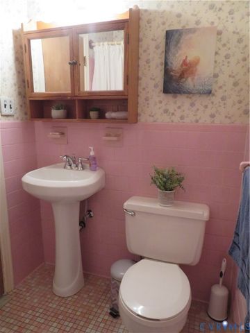 24701 Mount Pleasant St, North Dinwiddie, VA 23803