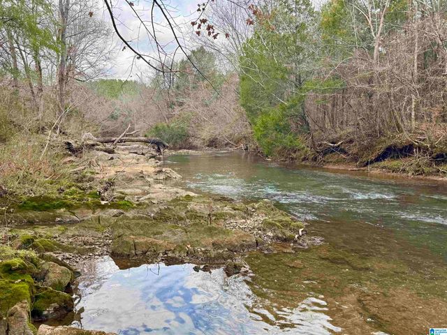 576 GUN LOCK ROAD, Montevallo, AL 35115