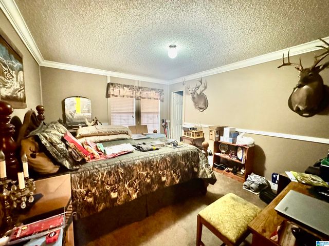 576 GUN LOCK ROAD, Montevallo, AL 35115