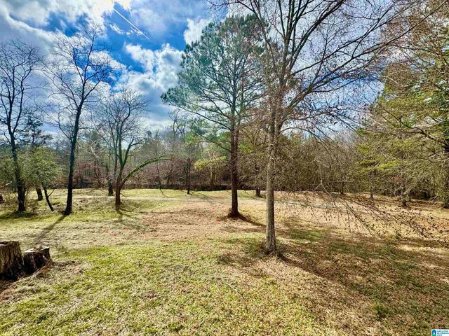 576 GUN LOCK ROAD, Montevallo, AL 35115