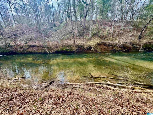 576 GUN LOCK ROAD, Montevallo, AL 35115