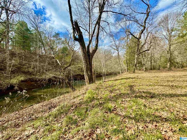 576 GUN LOCK ROAD, Montevallo, AL 35115