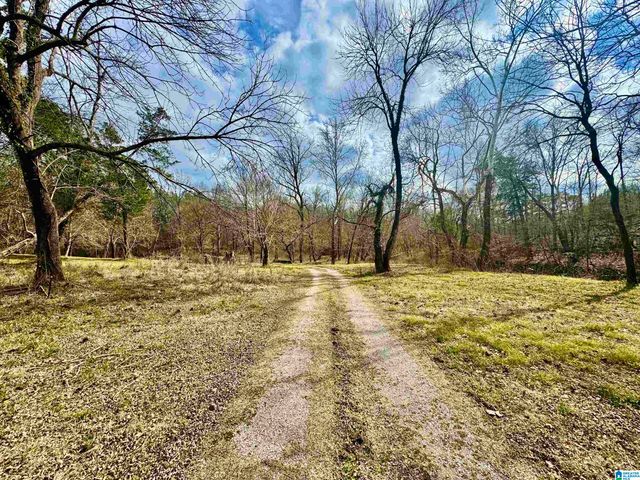 576 GUN LOCK ROAD, Montevallo, AL 35115