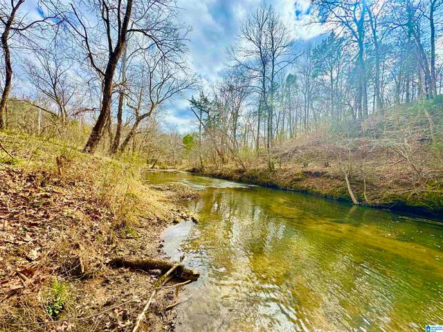 576 GUN LOCK ROAD, Montevallo, AL 35115