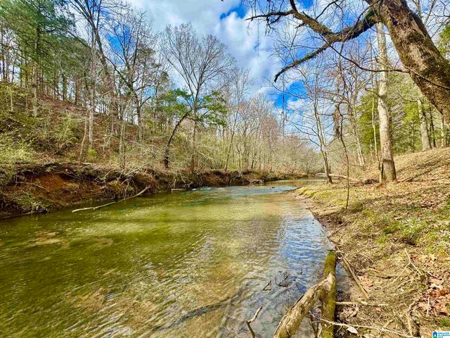 576 GUN LOCK ROAD, Montevallo, AL 35115