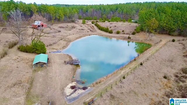 576 GUN LOCK ROAD, Montevallo, AL 35115