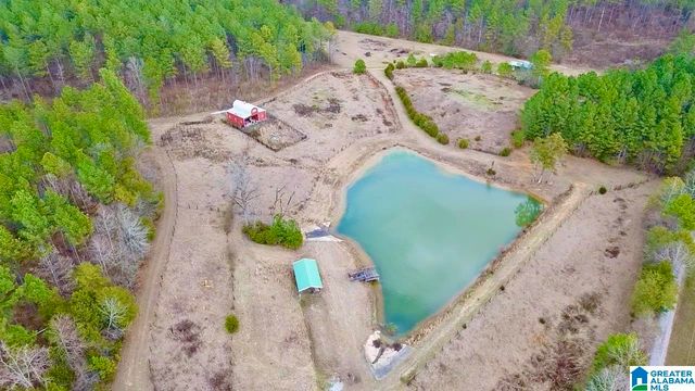 576 GUN LOCK ROAD, Montevallo, AL 35115