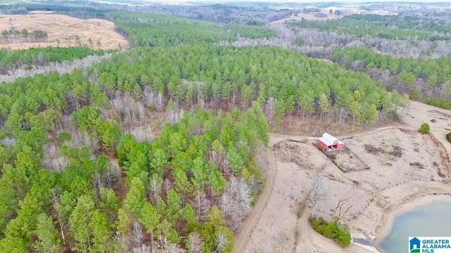 576 GUN LOCK ROAD, Montevallo, AL 35115