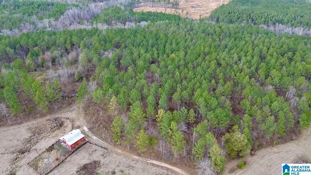 576 GUN LOCK ROAD, Montevallo, AL 35115