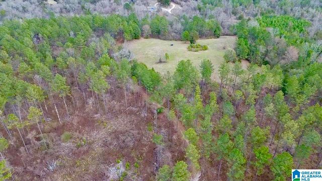 576 GUN LOCK ROAD, Montevallo, AL 35115