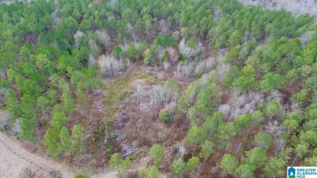 576 GUN LOCK ROAD, Montevallo, AL 35115