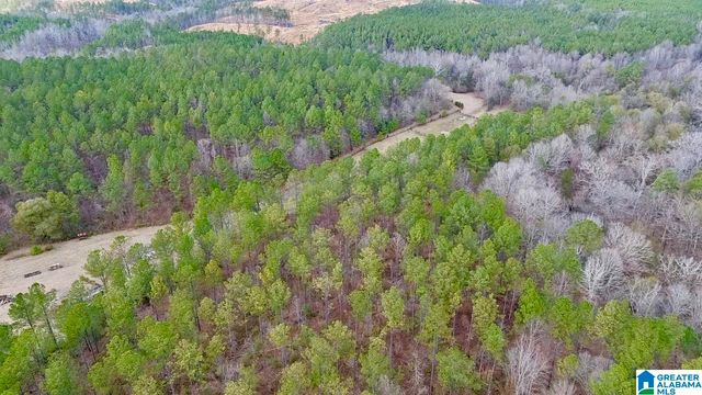 576 GUN LOCK ROAD, Montevallo, AL 35115