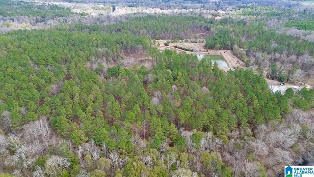 576 GUN LOCK ROAD, Montevallo, AL 35115