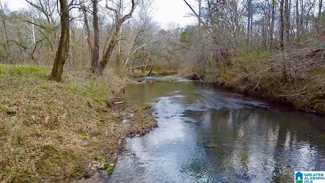 576 GUN LOCK ROAD, Montevallo, AL 35115