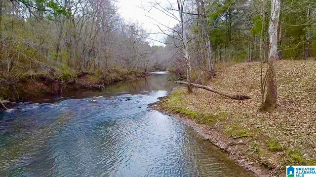 576 GUN LOCK ROAD, Montevallo, AL 35115