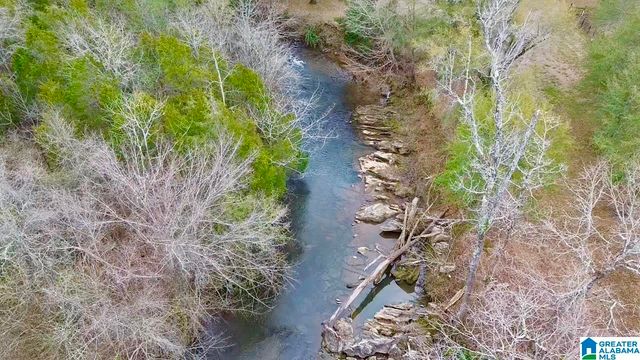 576 GUN LOCK ROAD, Montevallo, AL 35115