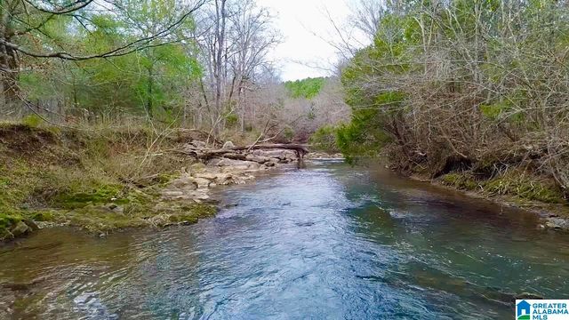 576 GUN LOCK ROAD, Montevallo, AL 35115