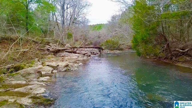 576 GUN LOCK ROAD, Montevallo, AL 35115