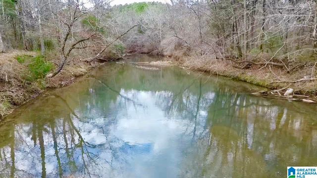 576 GUN LOCK ROAD, Montevallo, AL 35115