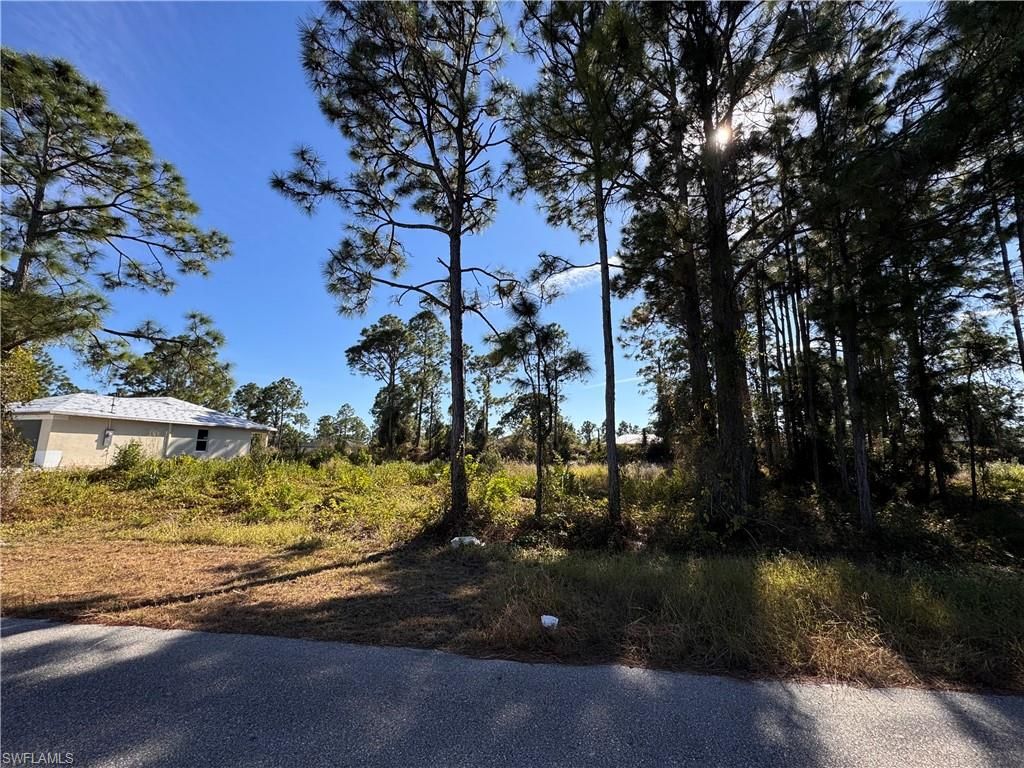 1136 Dutchess ST E, LEHIGH ACRES, FL 33974 — photo 2