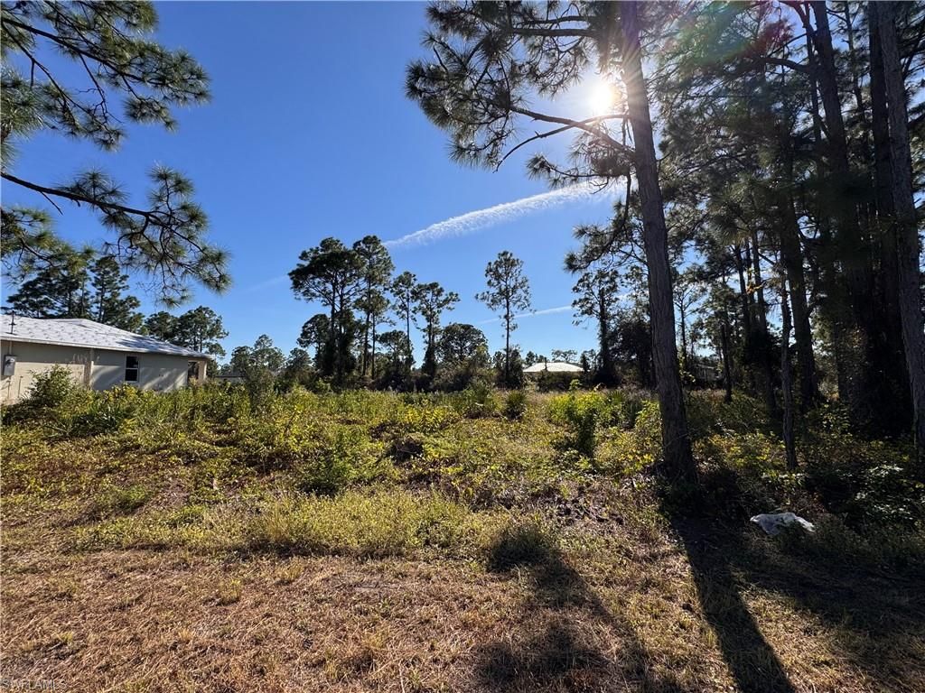 1136 Dutchess ST E, LEHIGH ACRES, FL 33974 — photo 3