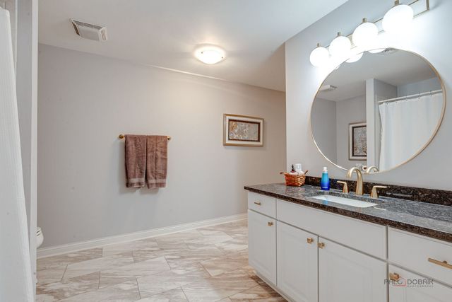 22087 W Vernon Ridge Drive, Ivanhoe, IL 60060