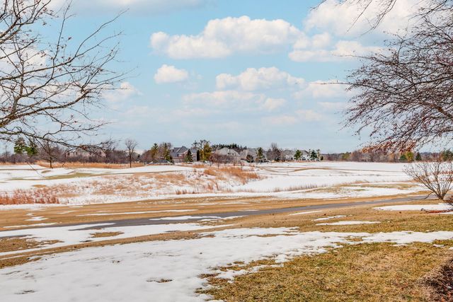 22087 W Vernon Ridge Drive, Ivanhoe, IL 60060