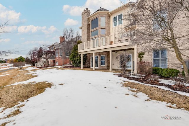 22087 W Vernon Ridge Drive, Ivanhoe, IL 60060