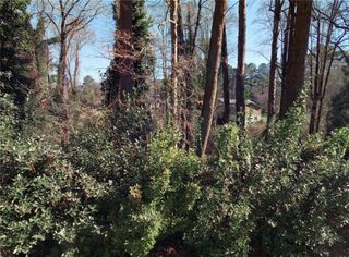 523 Spruce Drive, Pine Lake, GA 30072