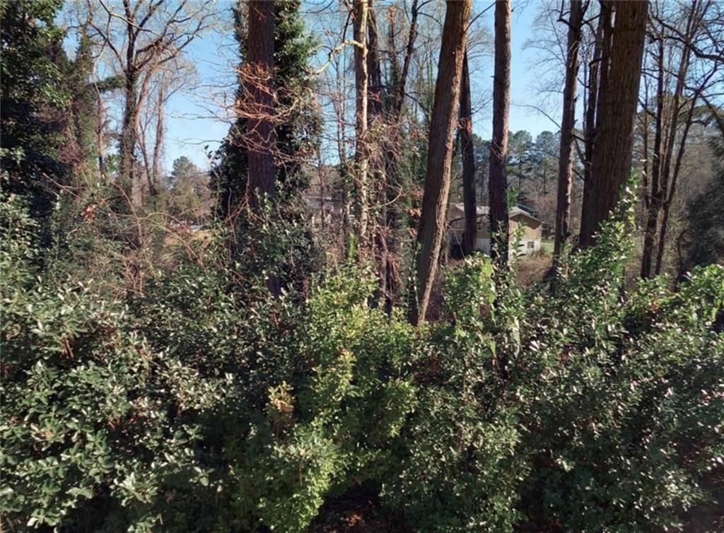 523 Spruce Drive, Pine Lake, GA 30072