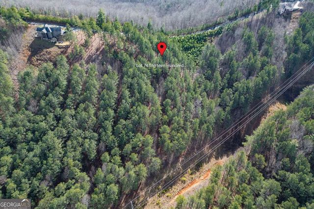 LOT 74 Thirteen Hundred, Blairsville, GA 30512