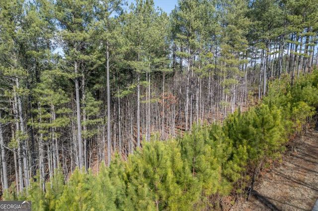 LOT 74 Thirteen Hundred, Blairsville, GA 30512