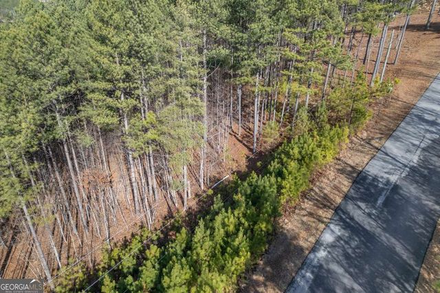 LOT 74 Thirteen Hundred, Blairsville, GA 30512