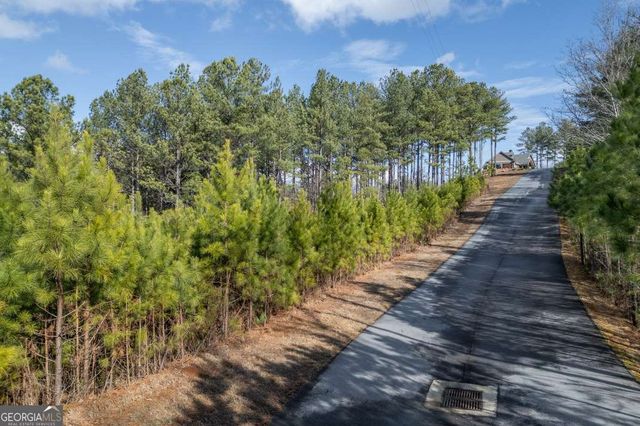 LOT 74 Thirteen Hundred, Blairsville, GA 30512
