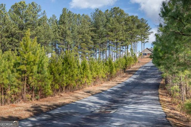 LOT 74 Thirteen Hundred, Blairsville, GA 30512