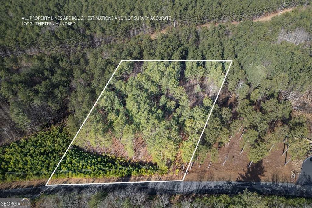 LOT 74 Thirteen Hundred, Blairsville, GA 30512