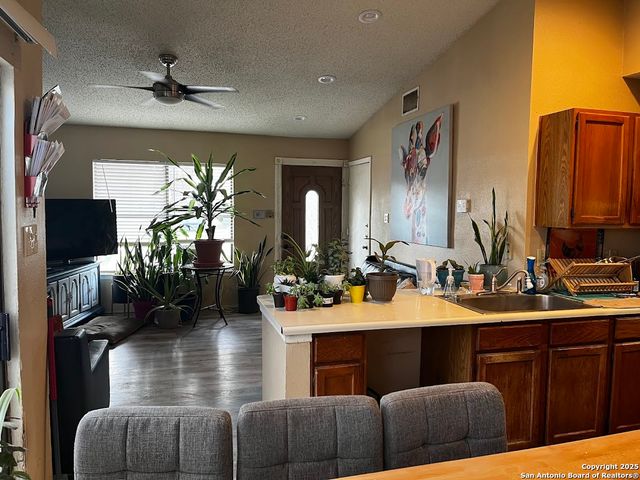 6613 Pebble Spring, San Antonio, TX 78249