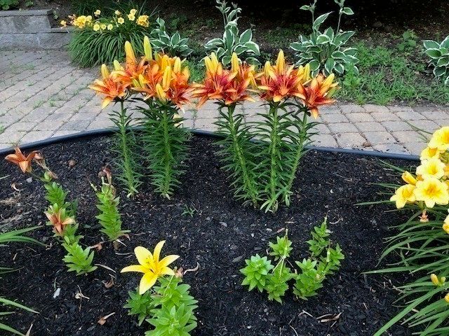 9 Myopia Rd, Stoneham, MA 02180