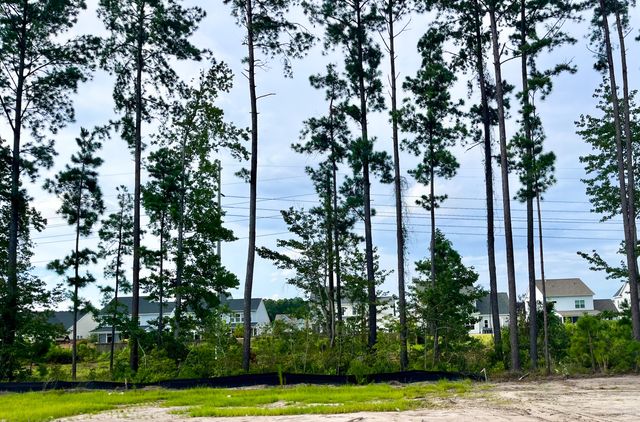 422 Brightside Trail, Summerville, SC 29486
