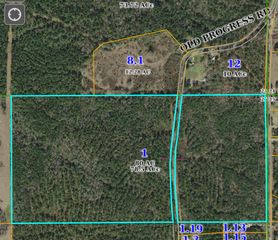 0 Old Progress Rd, Moselle, MS 39459