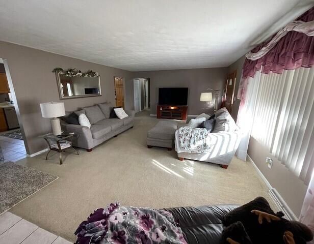 232 Lyn Brook Drive, Girard Twp, MI 49036