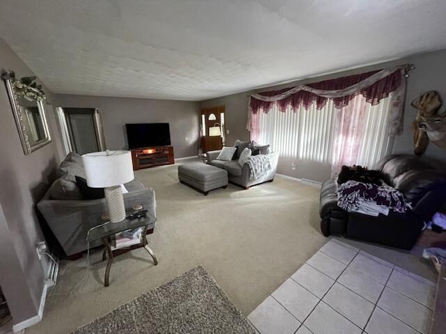 232 Lyn Brook Drive, Girard Twp, MI 49036