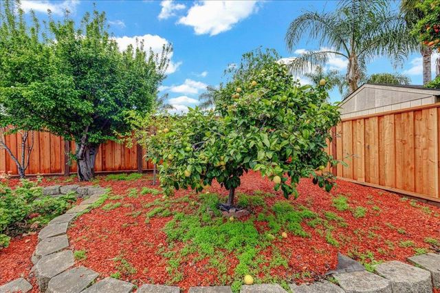 824 Acacia Avenue, Sunnyvale, CA 94086